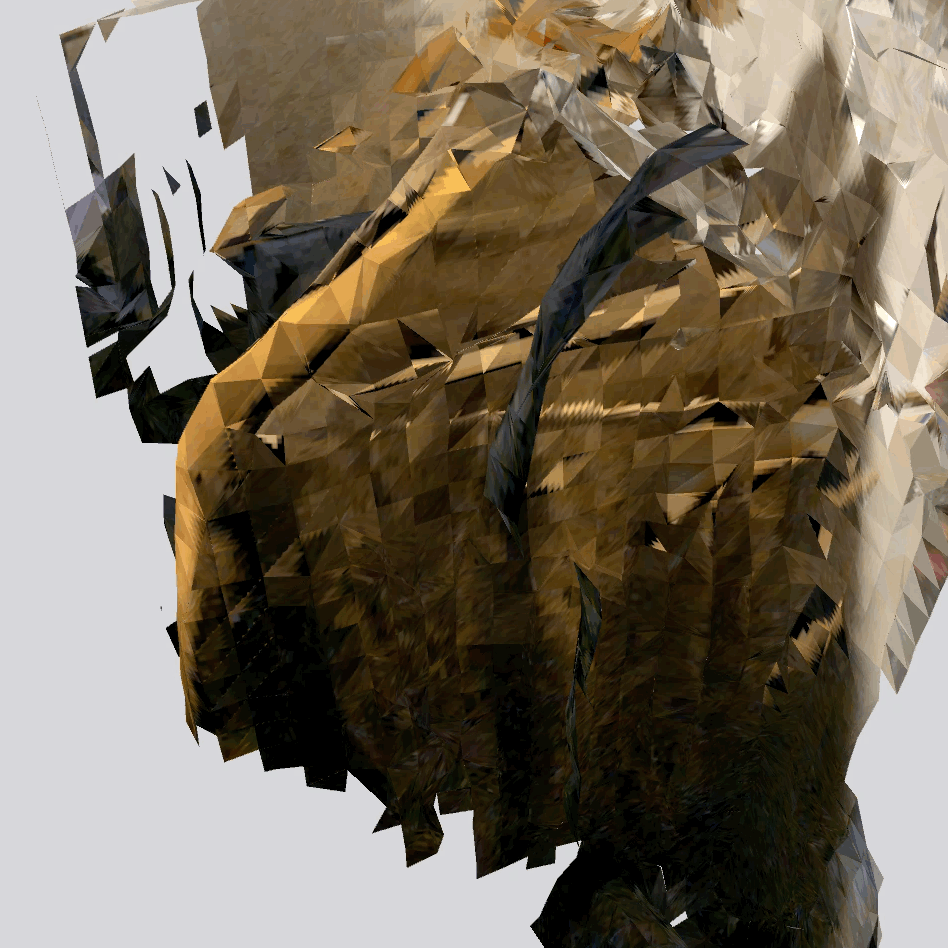 Instagram Exhibition Image 4